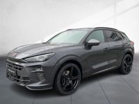 Cupra Terramar - Vorschau Bild 2