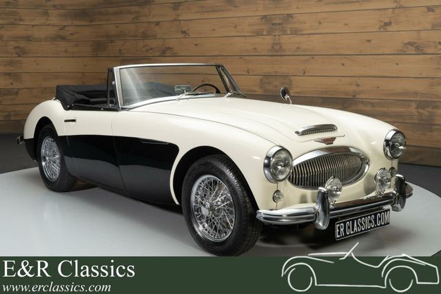 Austin Healey Cabrio