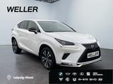 Lexus NX 300h Style Edition *Bi-LED*CAM*SHZ*PDC*CarPla - Lexus NX 300 SUV