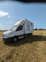 Mercedes-Benz Sprinter 515 Pferdetransporter 