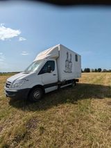 Mercedes-Benz Sprinter 515 Pferdetransporter - Mercedes-Benz Sprinter 515