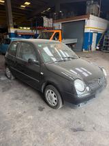 Volkswagen Auto Vw lupo. Gas Anlage - Volkswagen Lupo in Düsseldorf
