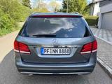 Mercedes-Benz E 350 BlueTEC 4MATIC T AVANTGARDE AMG - Mercedes-Benz E 350: Avantgarde