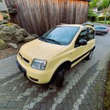 Fiat Panda Allrad, Anhängerkupplung, Raumwunder  - Fiat Panda aus 2011: Allradantrieb