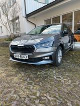 Skoda 130 Jahre DSG WP RFK ALU GRA NAVIAPP 5J. GAR