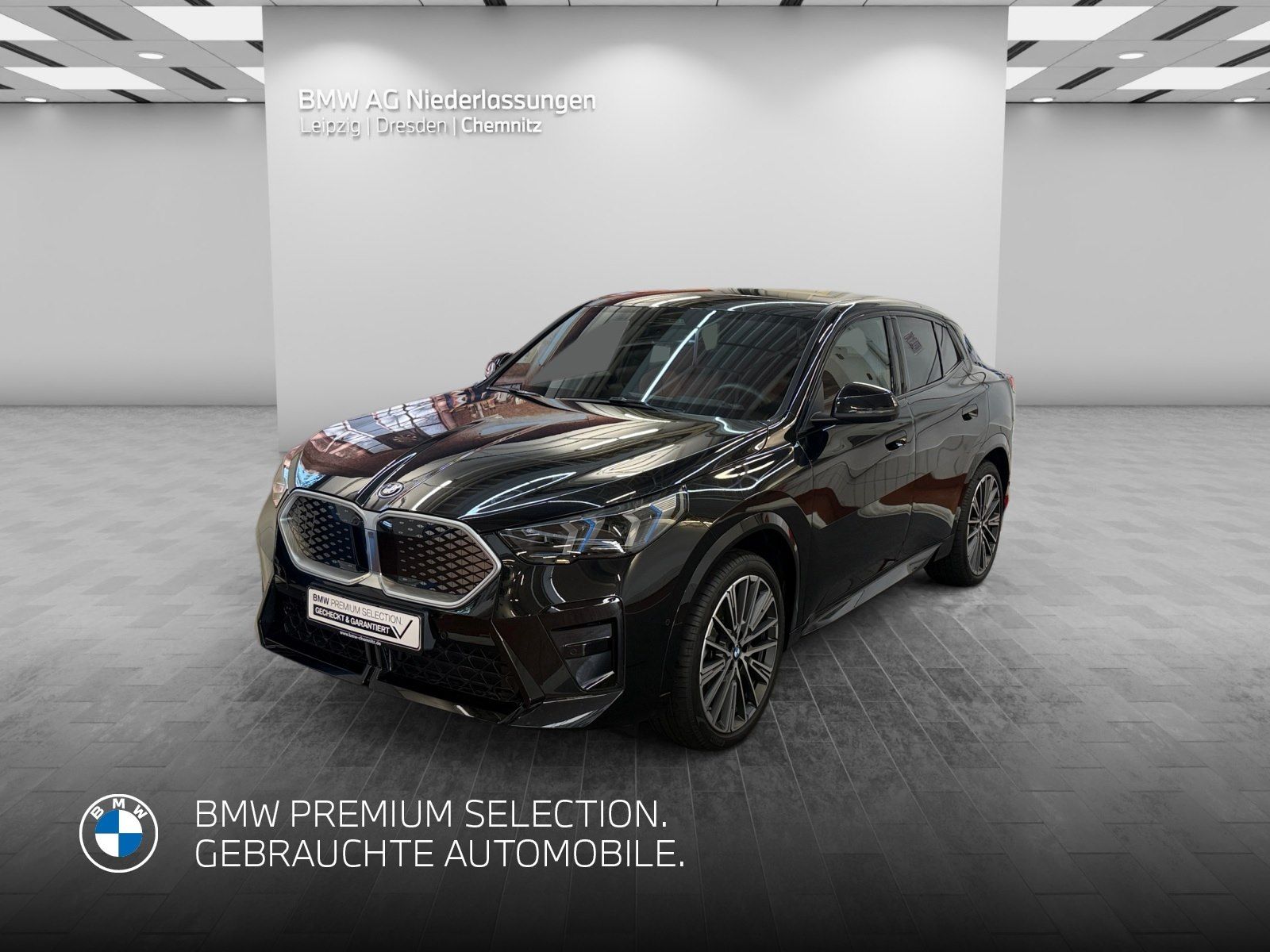 BMW iX2 xDrive30 M Sport AHK Driv.Assist.Prof LED