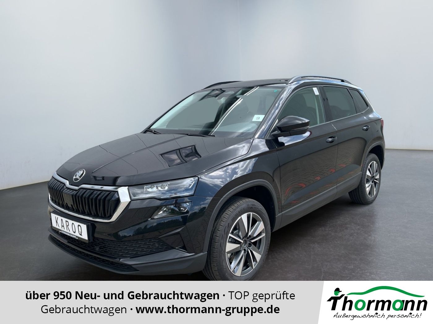 Skoda Karoq Balance 2.0 TDI DSG Matrix-LED Rückfahrkam