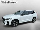 Volvo XC60 T6 AWD Recharge Plus Dark Fahrerassistenz-P - Volvo XC60: Recharge Plus Dark