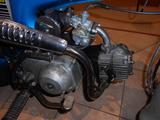 Honda Dax ST50 - HONDA DAX 50