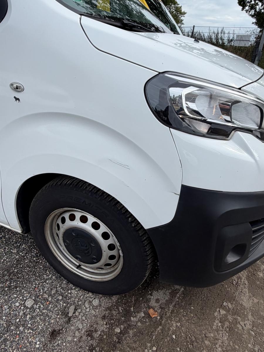 Peugeot Expert Kasten Pro L2