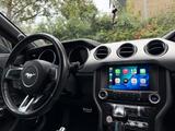 Ford Mustang Cabrio 2.3 EcoBoost | 314 PS | Auto - Ford Mustang: Ecoboost