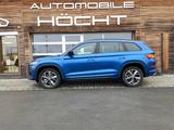 Skoda Kodiaq Sportline 4x4 2.0 TSI *AHK*Navi:Panorama - Skoda: Sport