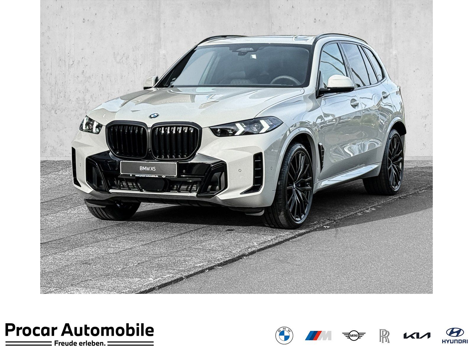 BMW X5 xDrive40d INDIVIDUAL Kreide uni * M Sportpake