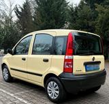 Fiat Panda Active  1.Hand - Fiat Panda Gebrauchtwagen in Karlsruhe