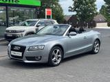Audi A5 Cabriolet 3.2 FSI quattro **77000KM**VOLL** - Audi A5 aus 2011: Roadster