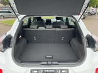 Ford Puma - Vorschau Bild 16