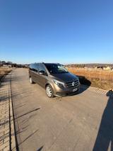 Mercedes-Benz V 250 d Aut. EDITION lang 140kW EDITION - Mercedes-Benz V 250 in Chemnitz