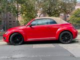 Volkswagen VW Beetle Cabrio 2.5 l( Automatik )VR5-Sau... - Volkswagen Beetle 5C