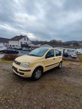 Fiat New Panda 1.2 8V  Automatik  1HAND - Fiat New Panda: Limousine