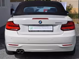 BMW 220i Cabrio Advantage * Harman Kardon*Leder*PDC - BMW 220 in Nürnberg