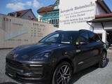 Porsche Macan PDK 1HD dt.Fzg. Top Ausst. - Porsche Macan: Beige