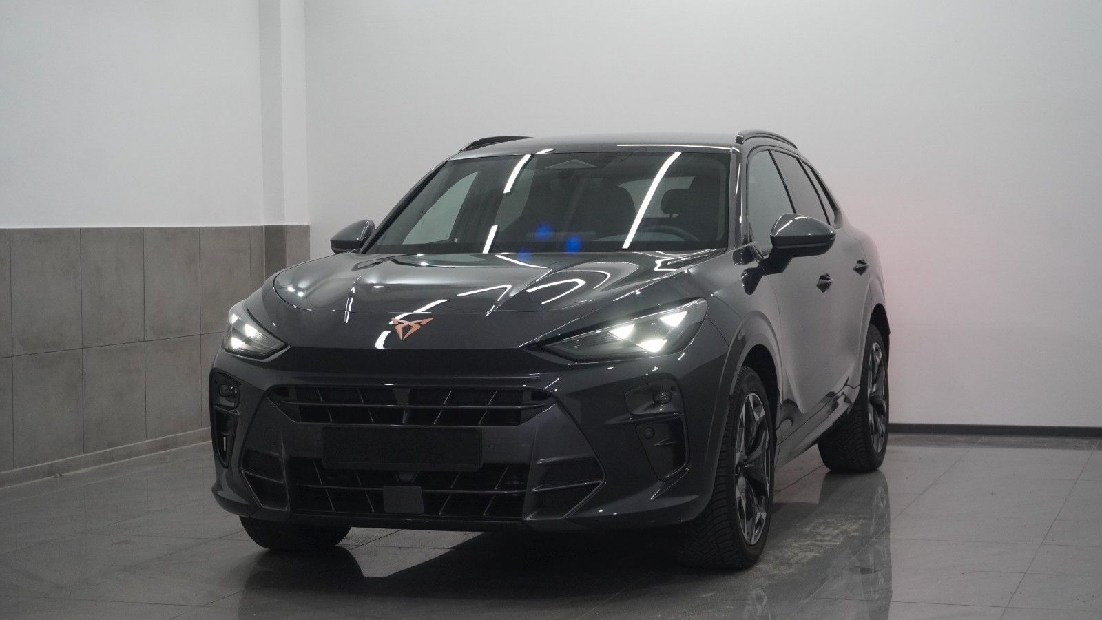 Cupra Cupra Terramar 4Drive VZ Cam/AHK/Ambiente/ACC/Carp
