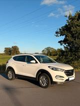 Hyundai Tucson TLE 1.6 GDI mit AHK - Sitzh... - Hyundai Tucson TLe Gebrauchtwagen