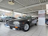 Jaguar XJS V12 5.3L Cabrio Automatik Leder - Jaguar XJS mit Benzin-Antrieb: Cabrio