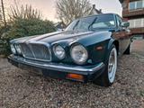 Jaguar XJ6 Serie 3 RHD Oldtimer British Ra... - Jaguar XJ6: Serie