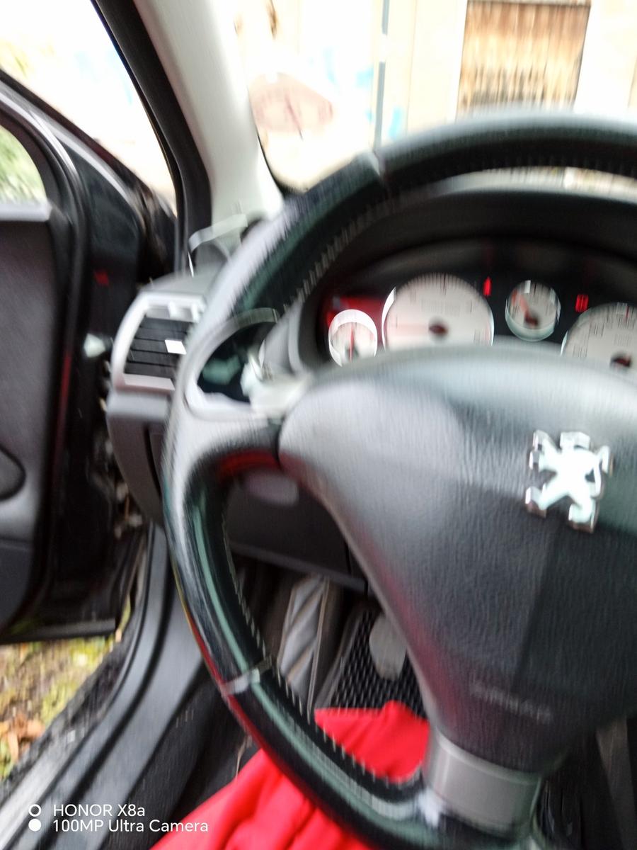 Peugeot 407 2005 — вигляд ззаду