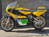 Yamaha TZ 250 1978 Replica Kenny Roberts - Angebote