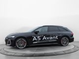 Audi A5 Avant TDI q. S tronic | MATRIX LED, B&O, MMI - Audi: A