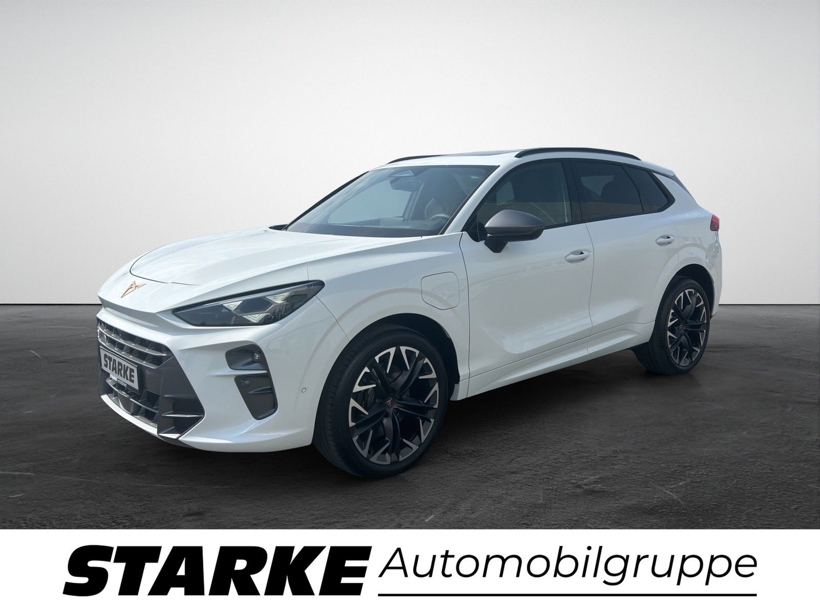 Cupra Terramar VZ 1.5 e-Hybrid DSG HeadUp Panodach AH