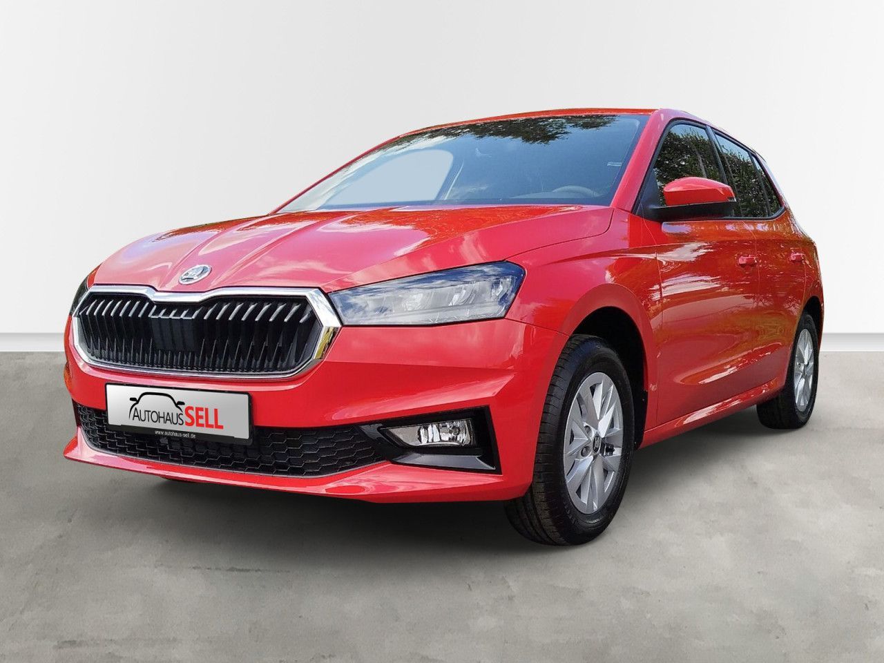 Fahrzeugabbildung SKODA Fabia SELECTS70/1.0 M5F