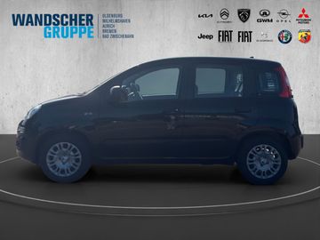 Fiat Panda ICON Hybrid 1.0 GSE *TEMPOMAT*PDC*KLIMA*
