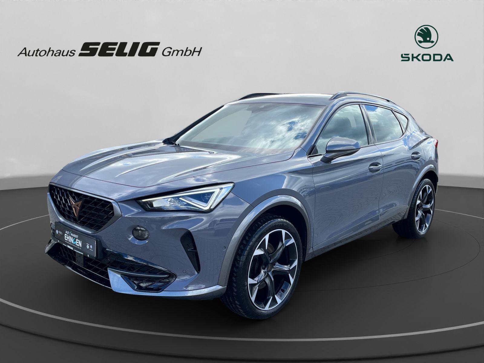 Cupra Formentor 1.5 TSI DSG, Navi, Alu, PDC, Kamera, L