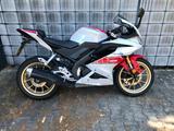Yamaha YZF-R125 60th Edition            1.Hand/ Zubehör - YAMAHA YZF 125
