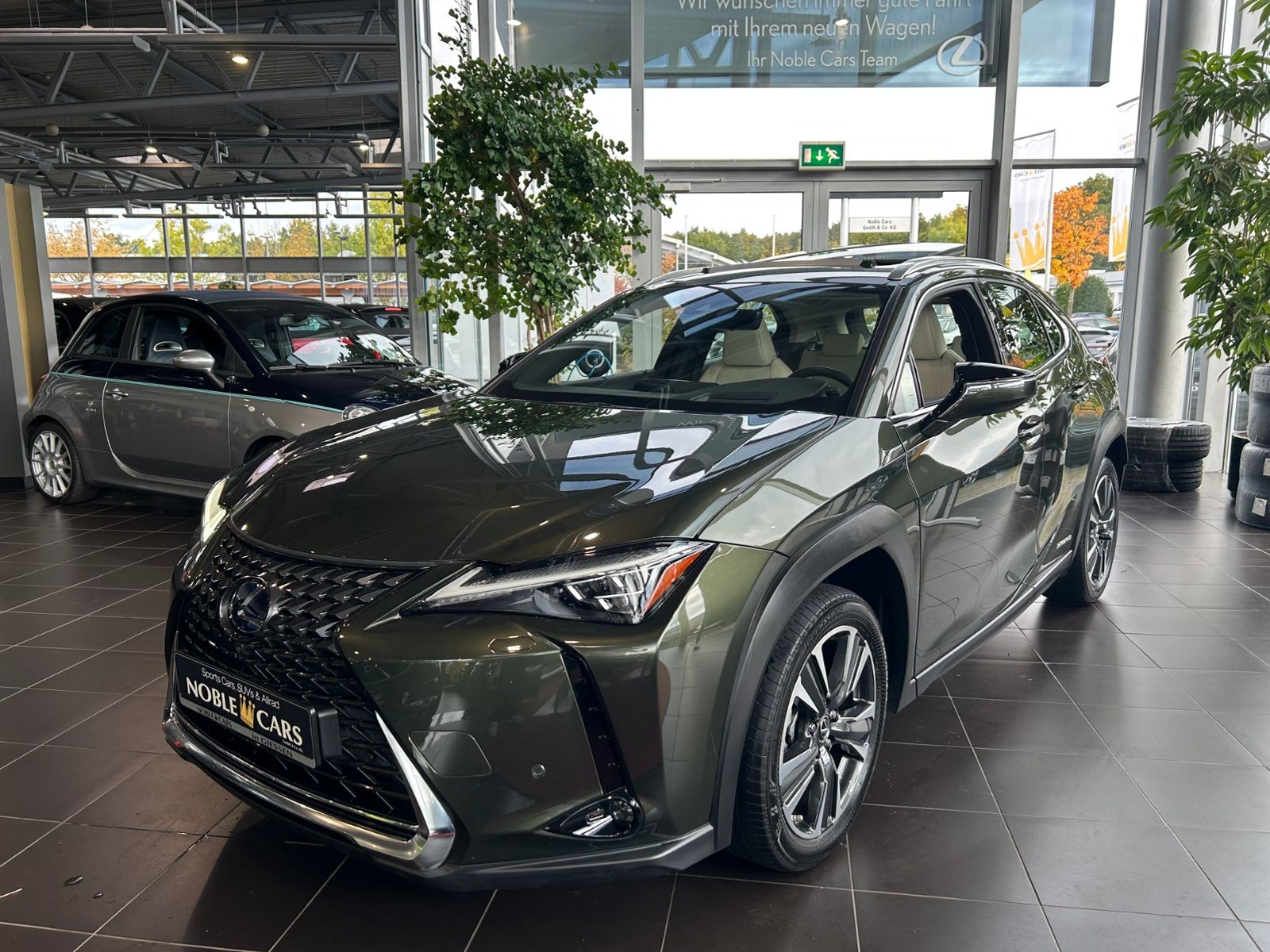Fahrzeugabbildung Lexus UX 250 h Luxury PANO 360°