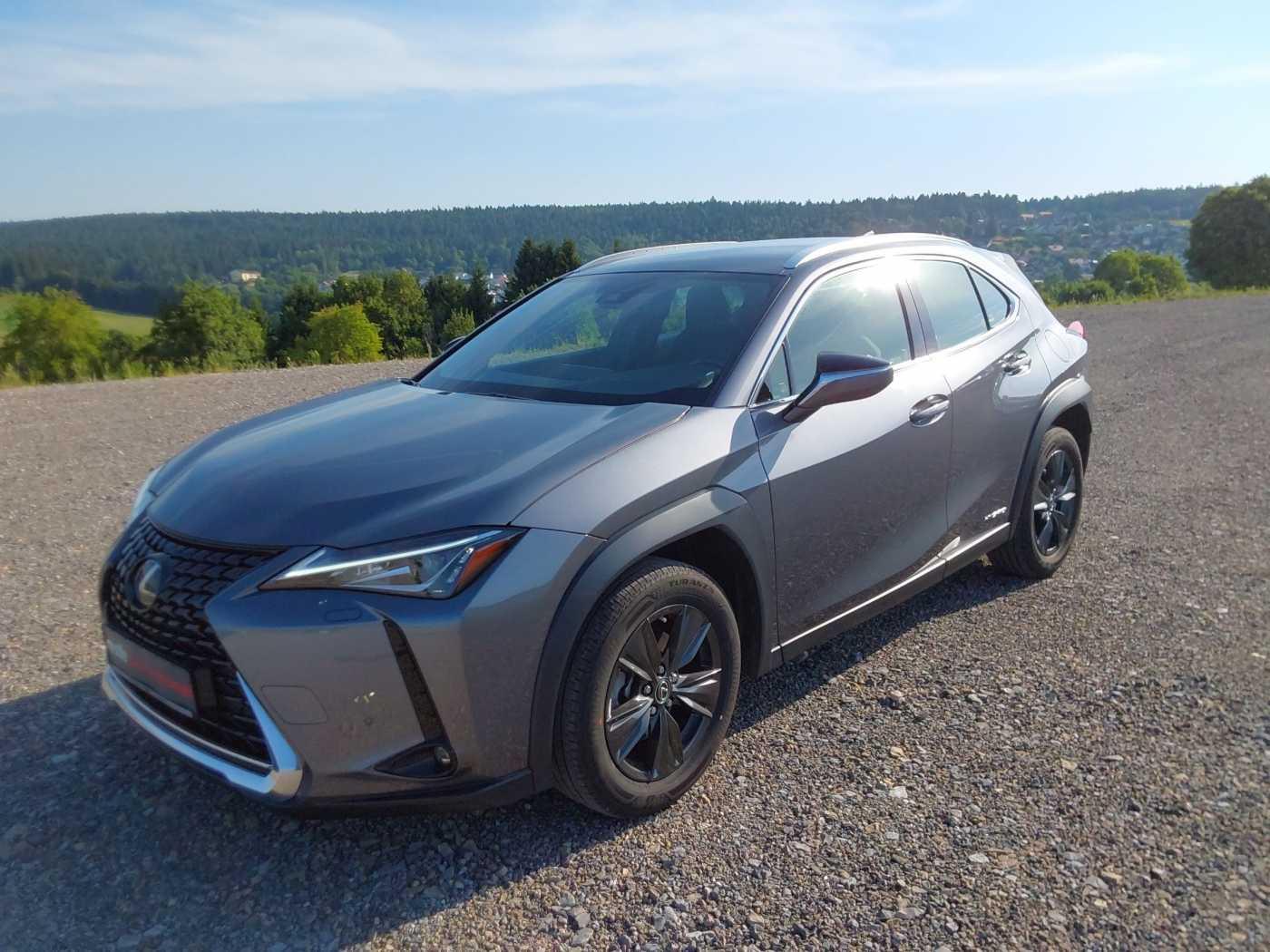 Lexus UX 250h Launch Edition*Kamera*Navi*Shz