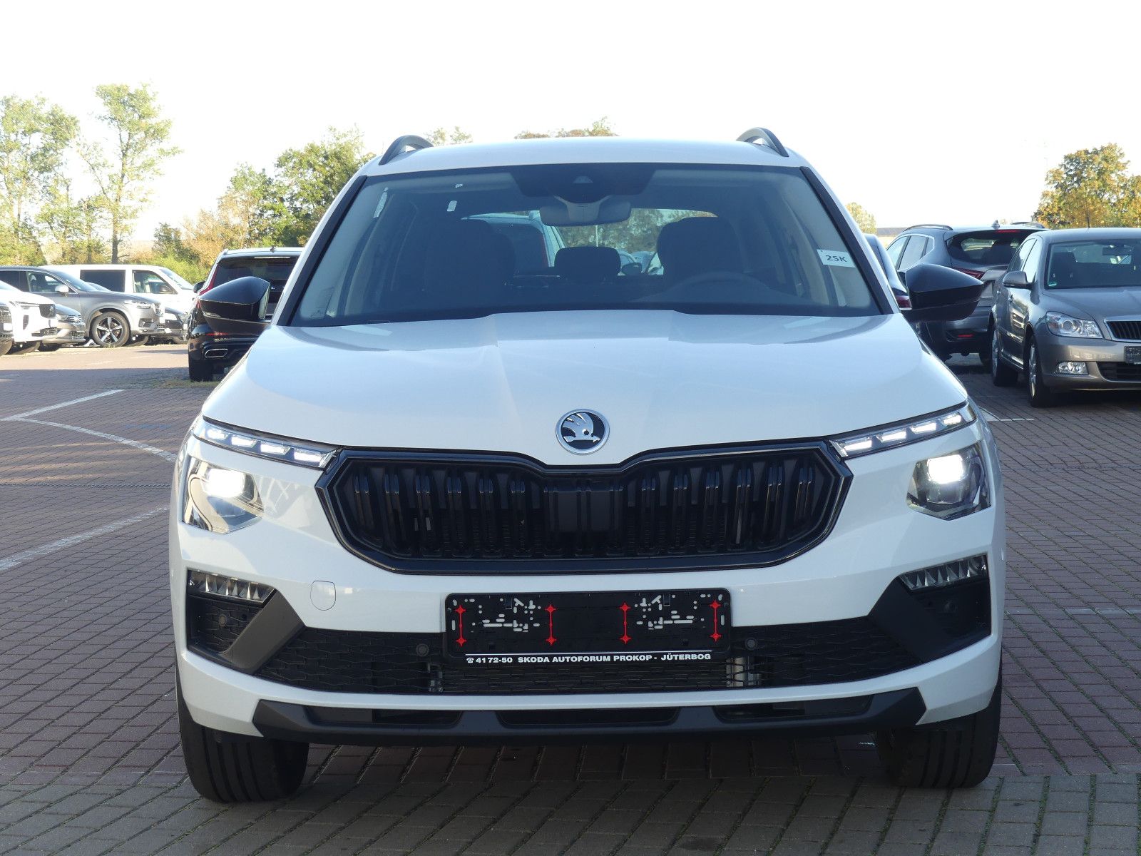 Fahrzeugabbildung SKODA Kamiq Selection