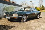 Jaguar XJS C 5,3 Liter 12 Zylinder - Jaguar Gebrauchtwagen von 1986