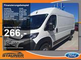 Fiat Ducato Kastenwagen 35 180 M L4H2 Kamera DAB - Fiat Ducato: Kastenwagen