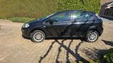 Fiat Punto Evo Benzin- und CNG-Gasanlage - Fiat Punto Evo von privat