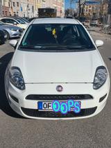 Fiat Euro 6 (neuer Zahnriemen und Wasserpumpe) - Fiat Grande Punto in Frankfurt (Main)