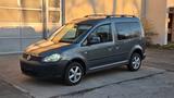 Volkswagen Caddy 1,2TSI 77kW Roncalli Edition 5-Sitze - Volkswagen Caddy: Roncalli Edition