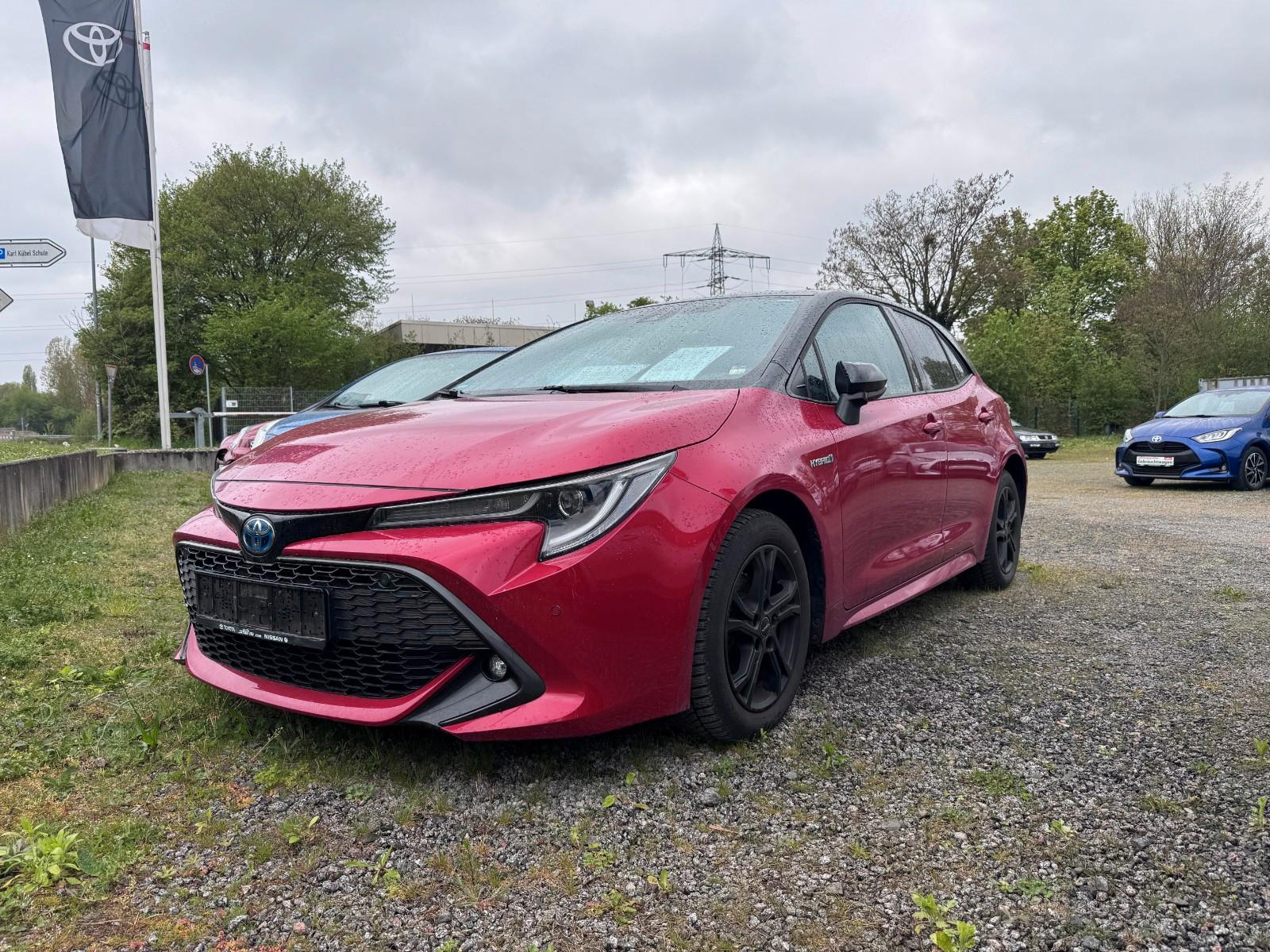 Toyota Corolla Hybrid Team D