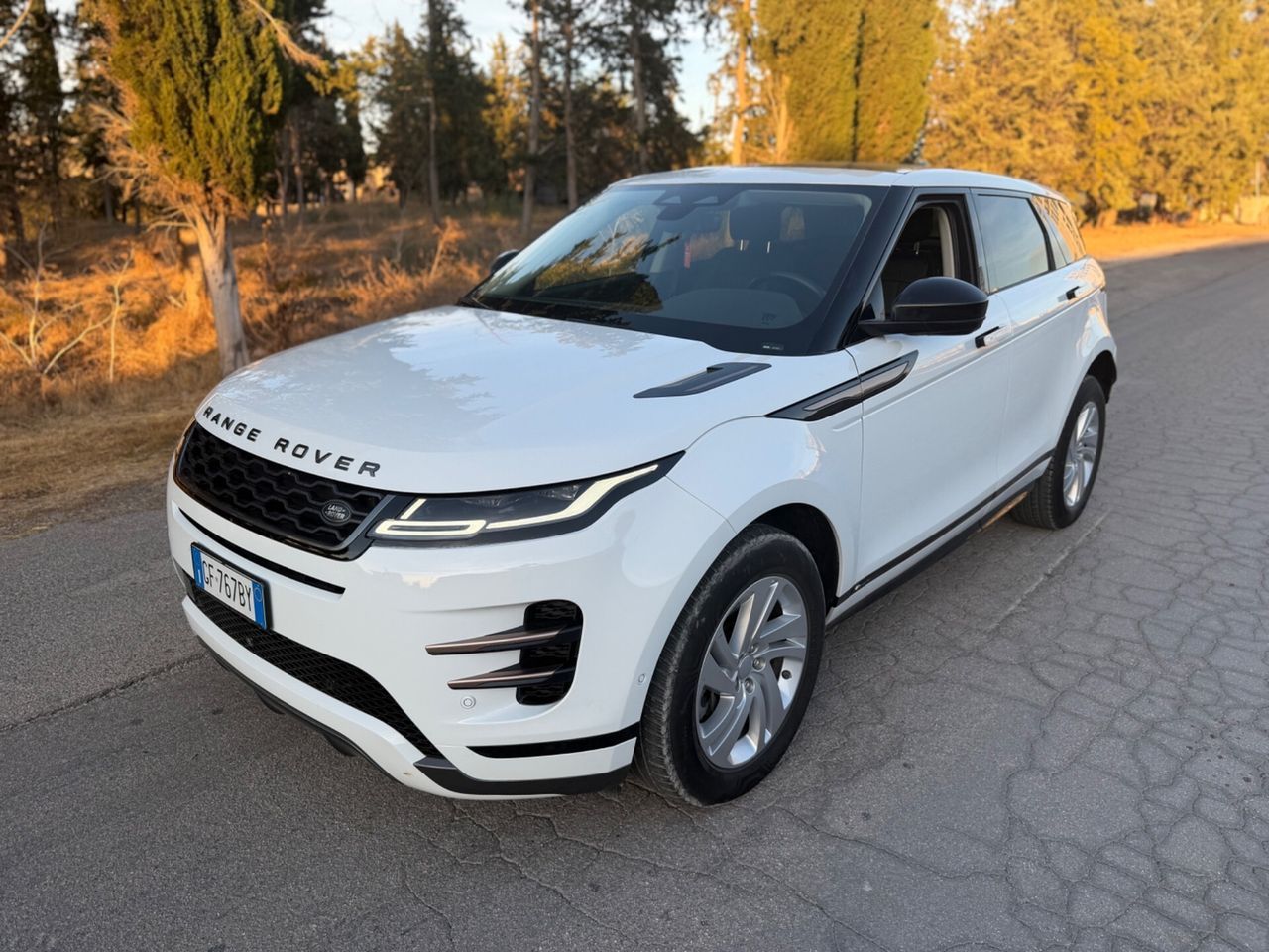 Land Rover Range Evoque 2.0D I4 163 CV AWD Auto 