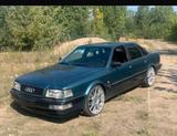 Audi V8 D11 4,2 Quattro - Audi quattro: 1.8