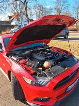 Ford Mustang 5.0 Ti-VCT V8 GT auto GT - Ford Mustang mit Benzin-Antrieb: Sportwagen, Automatik