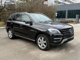 Mercedes-Benz ML 350 BlueTEC 4MATIC Navi Led Bi-Xenon Leader - gebrauchte Mercedes-Benz ML 350 aus dem Jahr 2012